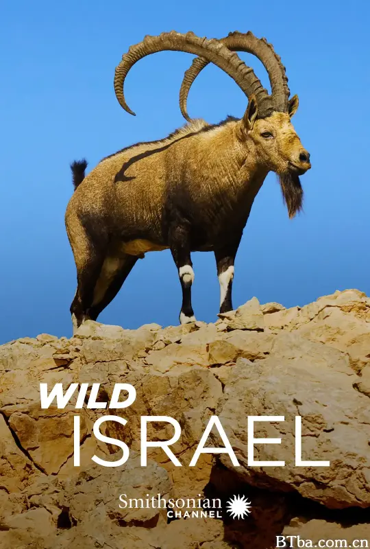野性以色列/Wild Israel