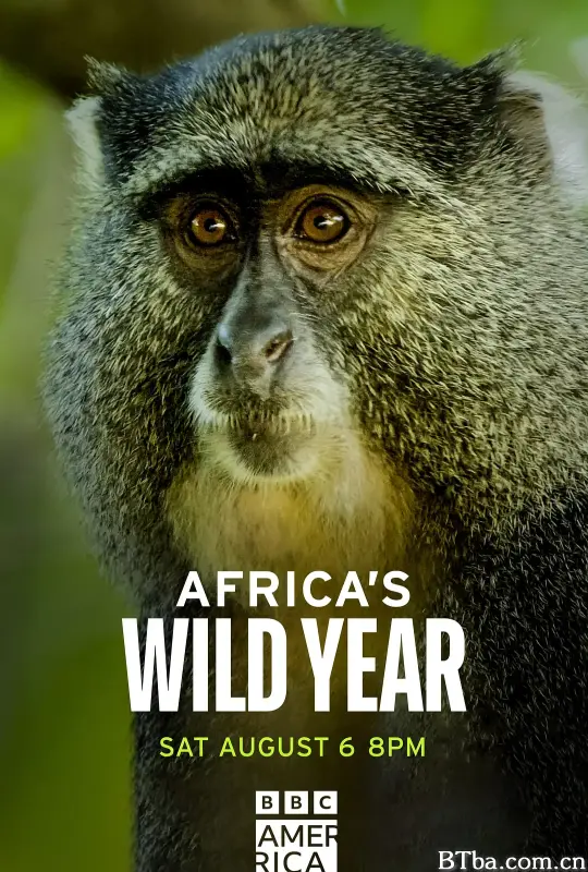 狂野非洲 第一季/Africa's wild year Season 1