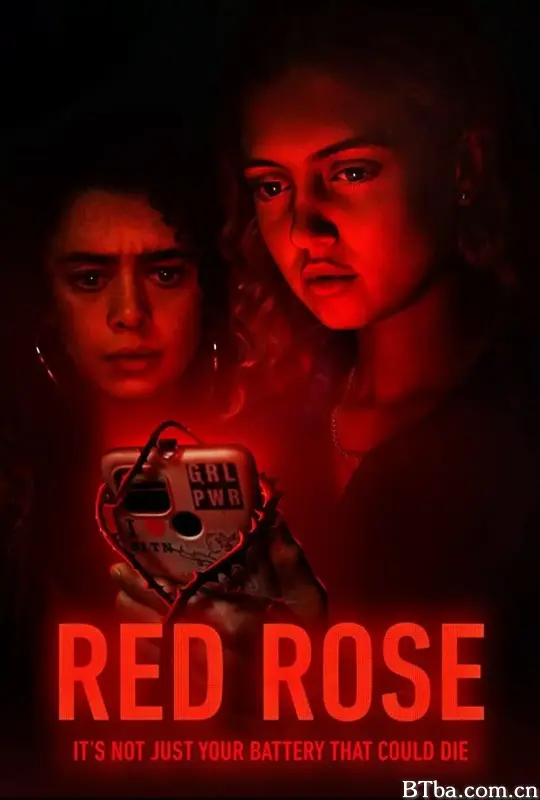 红玫瑰/Red Rose