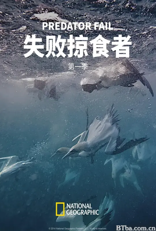 失败掠食者 第一季/Predator Fail Season 1