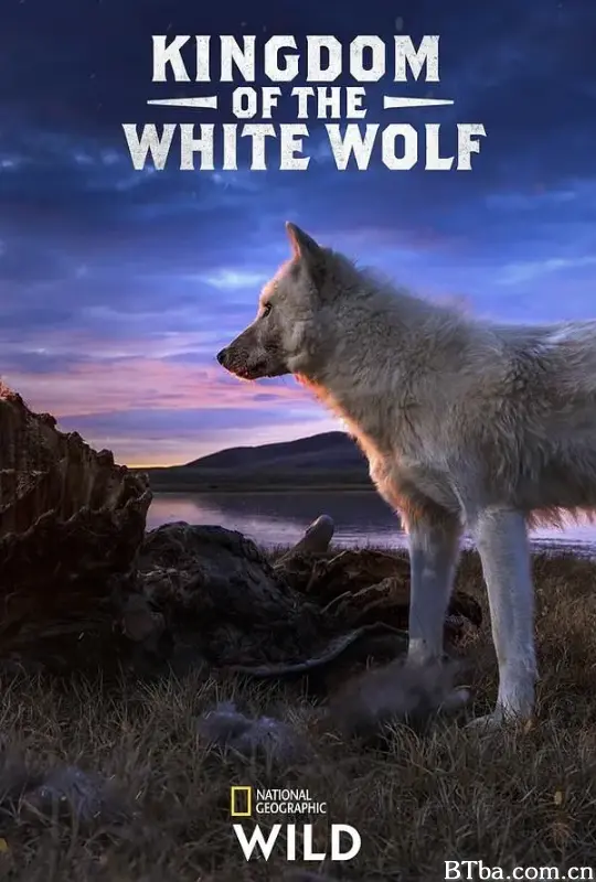 白狼国度/Kingdom of the White Wolf