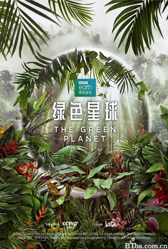 绿色星球/The Green Planet