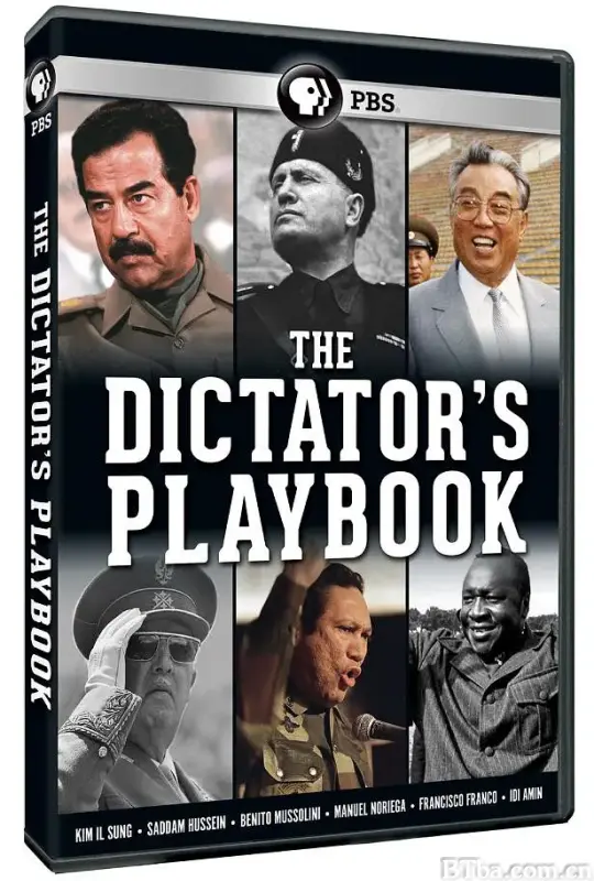 独裁者手册/The Dictator's Playbook