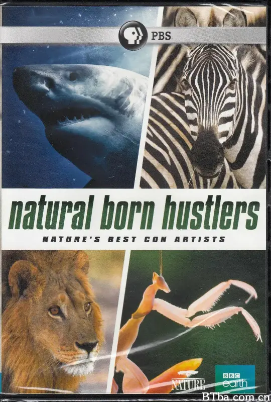 天生骗徒/Natural Born Hustlers
