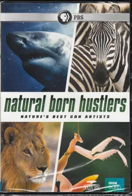 天生骗徒/Natural Born Hustlers