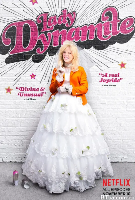 炸天女郎 第二季 Lady dynamite Season 2 Season 2 (2017) 1080P/4K BT磁力 迅雷网盘下载