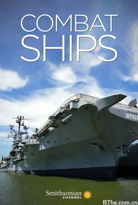 战舰大时代/Combat Ships