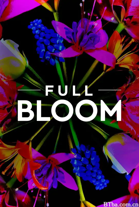百花之王 第一季/Full Bloom Season 1
