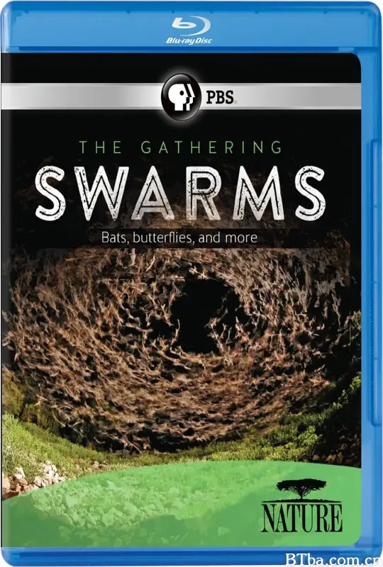 自然界的群体智慧/Nature: The Gathering Swarms