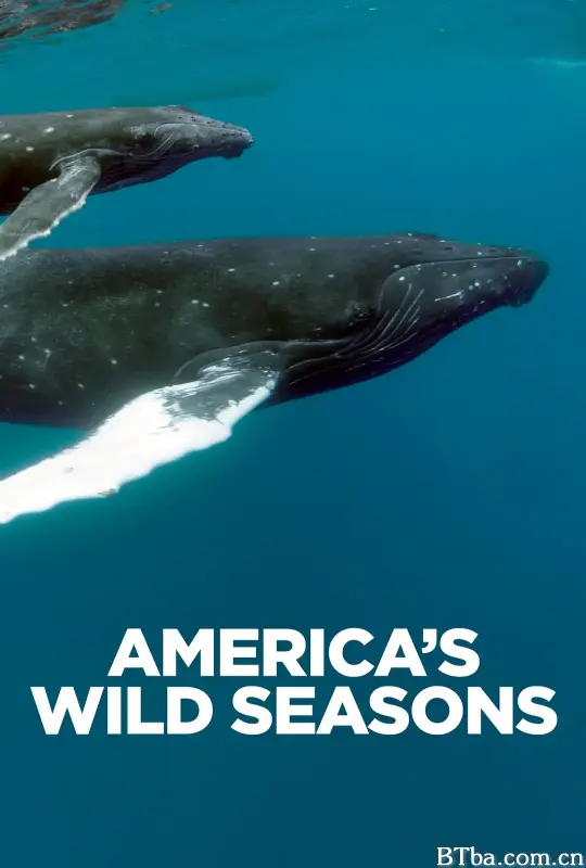 美国荒野的季节/America's Wild Seasons