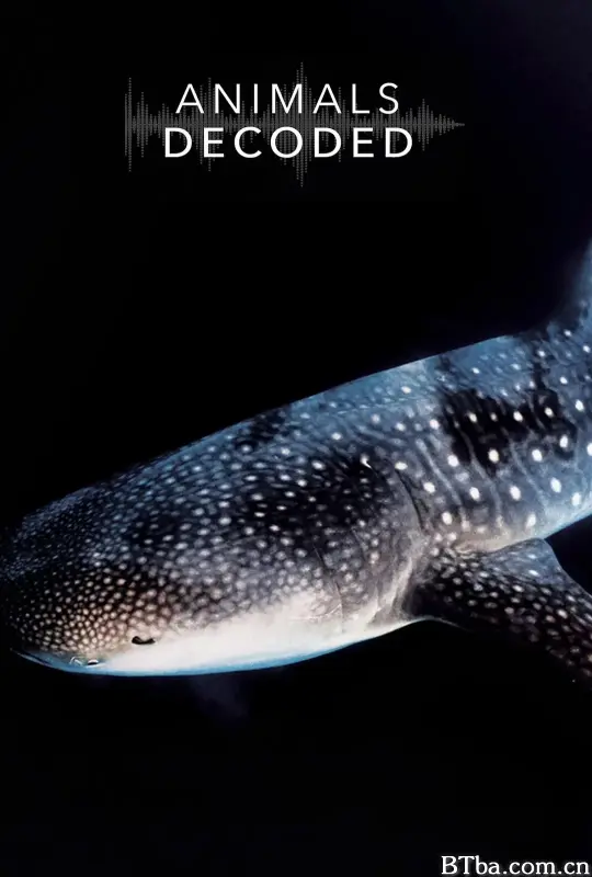 动物解码/Animals Decoded