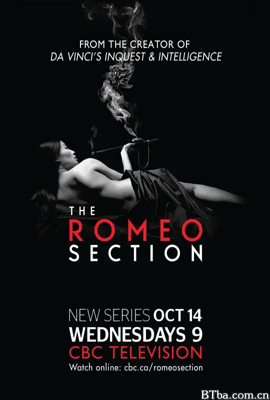 罗密欧间谍 第一季/The Romeo Section Season 1