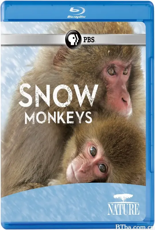 PBS自然：雪猴/Nature: Snow Monkeys