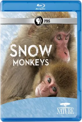 PBS自然：雪猴/Nature: Snow Monkeys