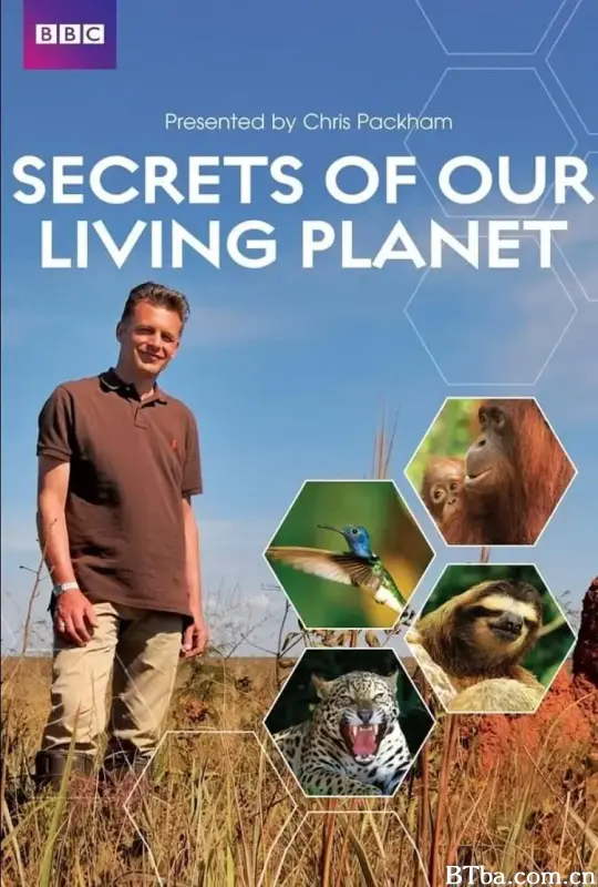我们星球的秘密 Secrets of Our Living Planet (2012) 1080P BT磁力 迅雷网盘下载-影音屋