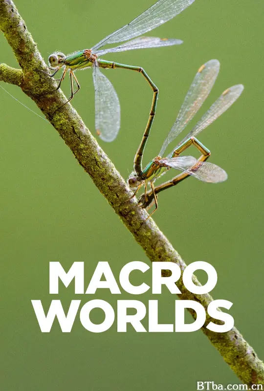 宏观世界/Macro Worlds