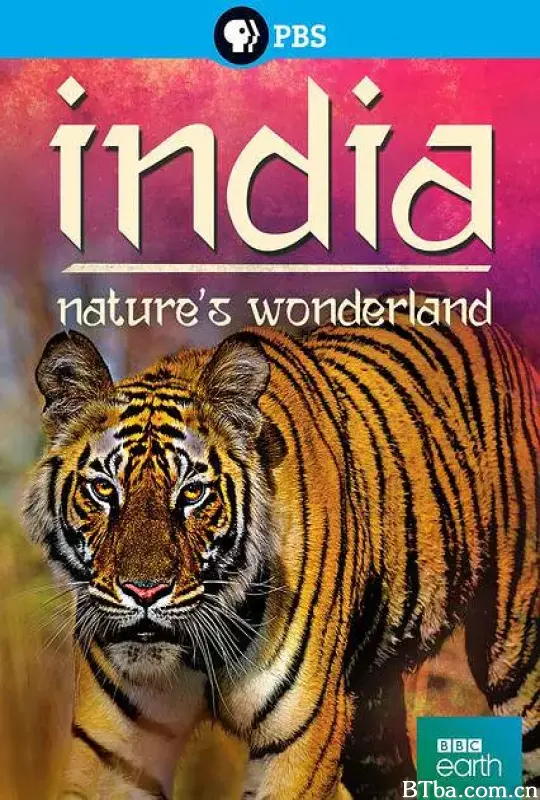 印度：大自然的仙境/India: Nature’s Wonderland