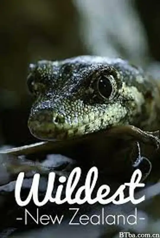 Wildest New Zealand Season 1