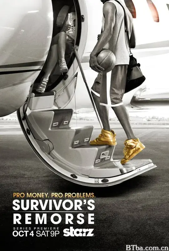 星路多懊悔 第一季/Survivor’s Remorse Season 1