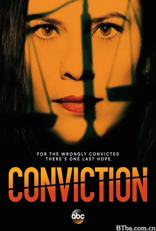 定罪/Conviction