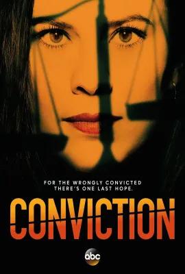 定罪/Conviction