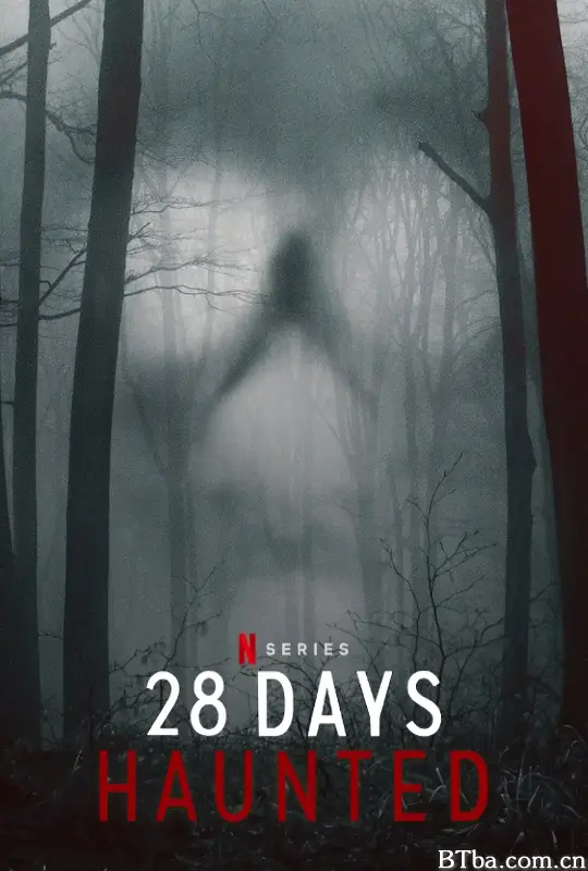 闹鬼实境28天/28 Days Haunted