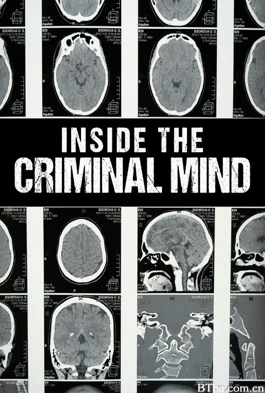 犯罪心理学/Inside the Criminal Mind