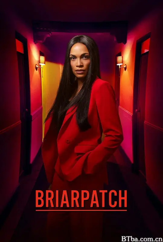 荆棘丛/Briarpatch