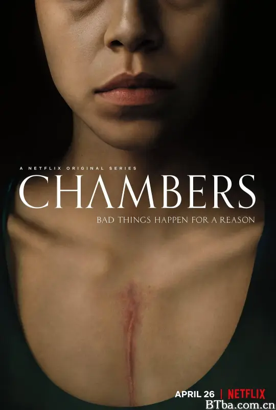 心室/Chambers