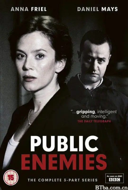 公众之敌/Public Enemies