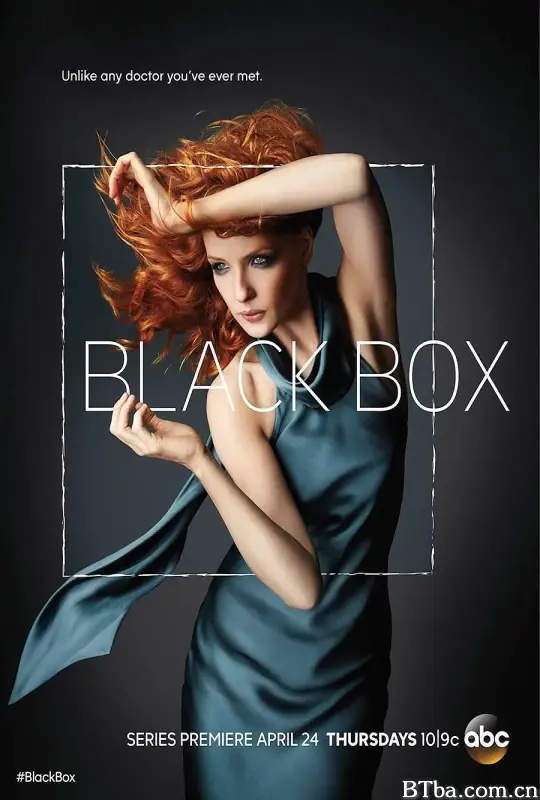 黑箱/Black Box