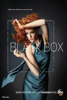 黑箱/Black Box