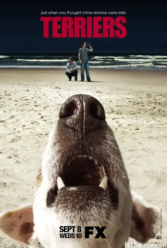 无厘头侦探/Terriers