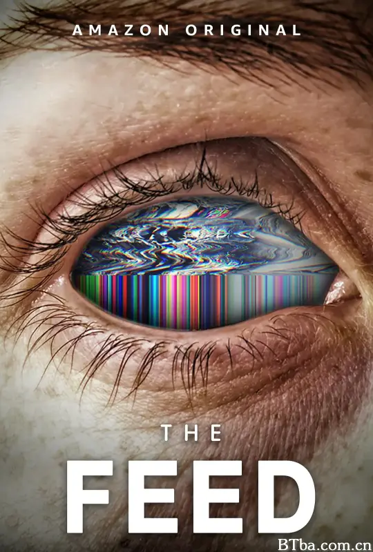 馈/The Feed