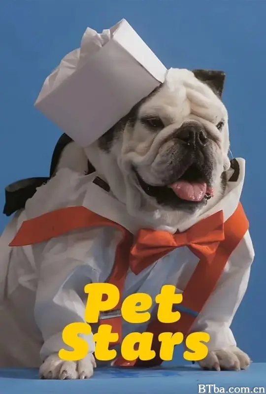 宠物大明星/Pet Stars