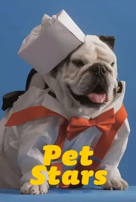 宠物大明星/Pet Stars