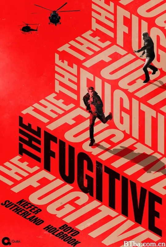 亡命天涯/The Fugitive