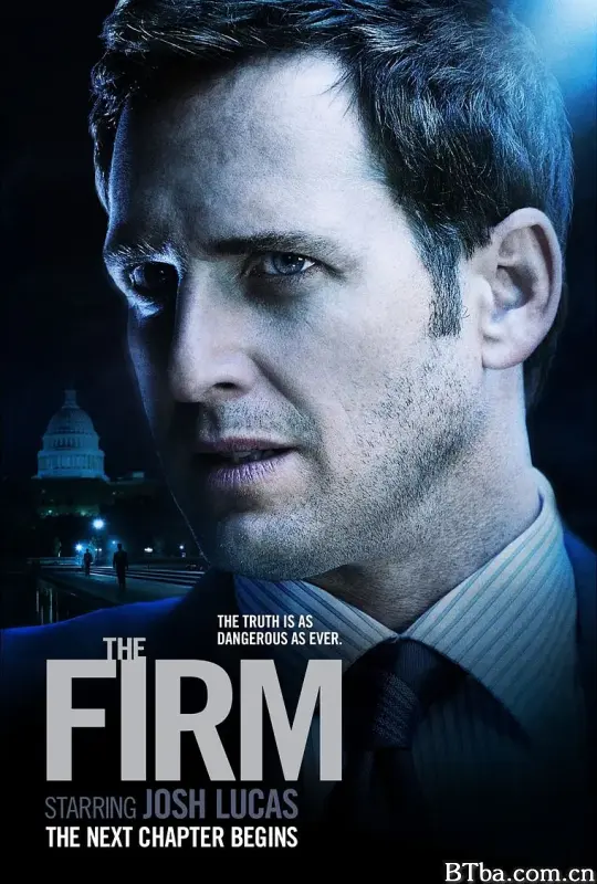 糖衣陷阱/The Firm