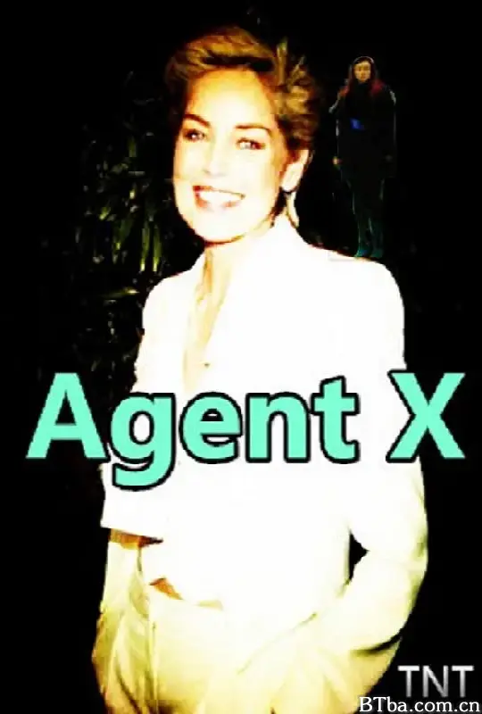X探员/Agent X