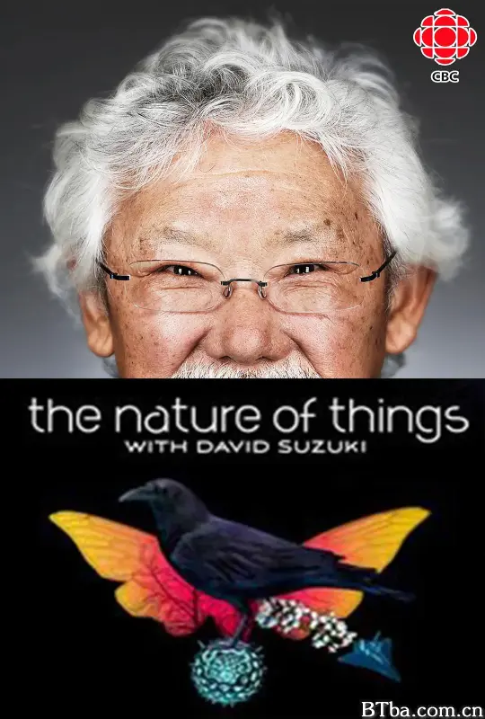 事物的本质/The Nature of Things