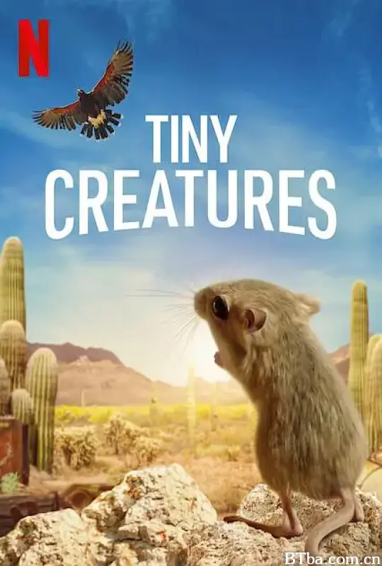 微观世界 Tiny Creatures (2020) 1080P/4K BT磁力 迅雷网盘下载-影音屋