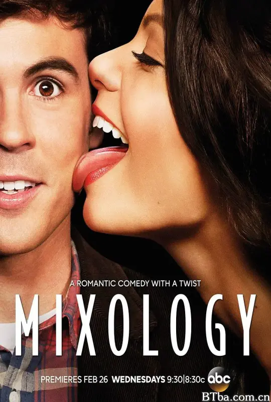 一夜寻情记/Mixology