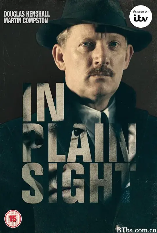 近在眼前/In Plain Sight