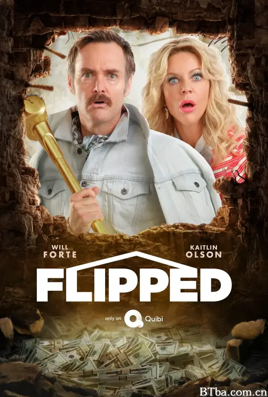 装修专家/Flipped
