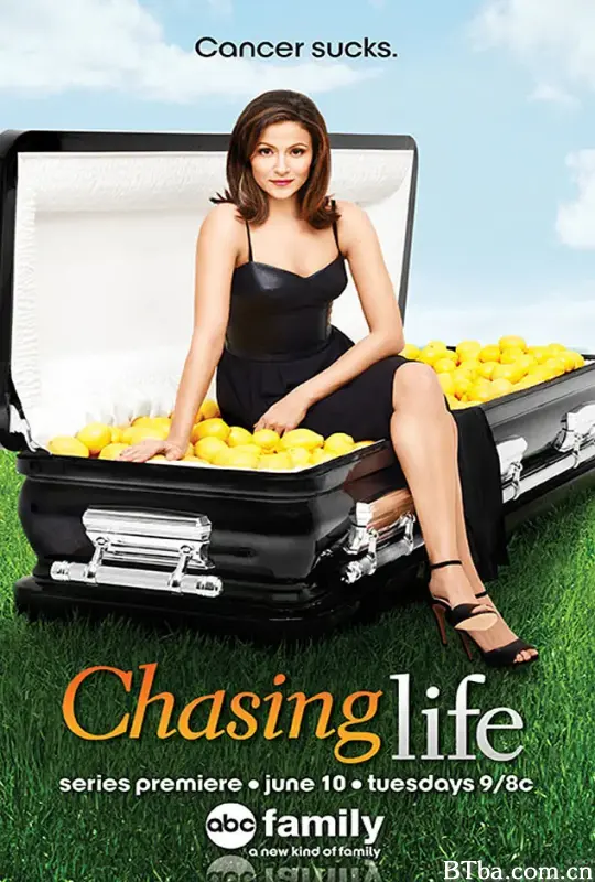 追寻人生 第一季/Chasing Life Season 1