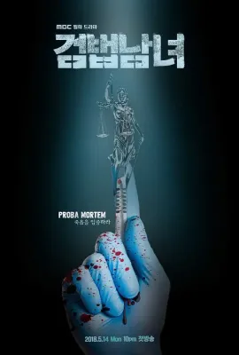 检法男女/검법남녀