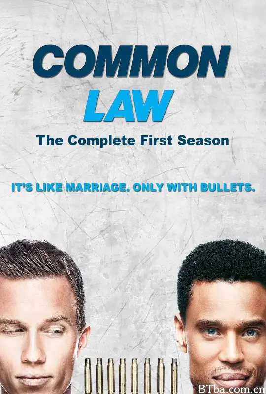 共同法则/Common Law
