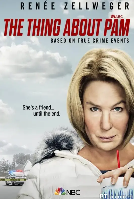 关于帕姆的那些事/The Thing About Pam