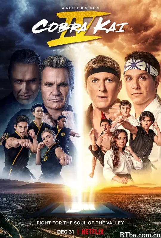 眼镜蛇 第四季/Cobra Kai Season 4