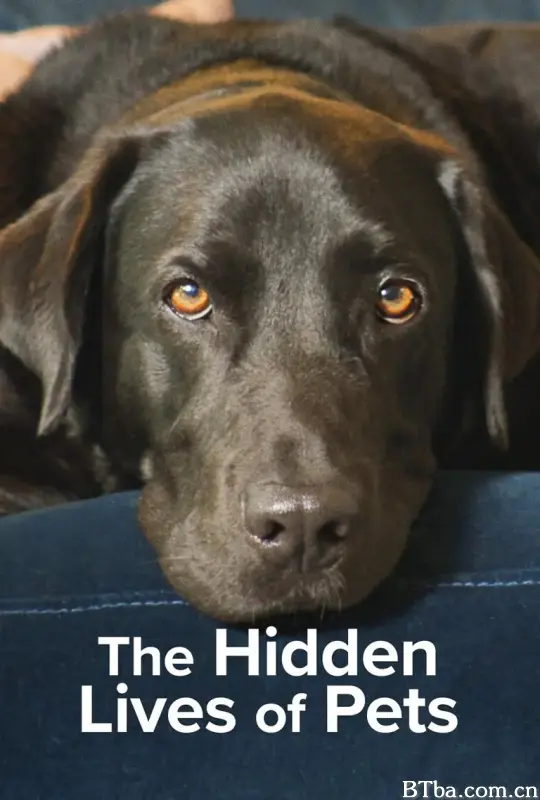 宠物的秘密生活/The Hidden Lives of Pets